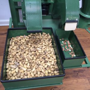 peanut grading