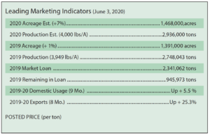 June 3, 2020, peanut market